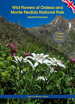 Willd Flowers of Ordesa and Monte Perdido National Park (Spanish Pyrenees)