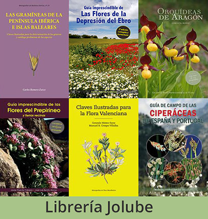 OFERTA COMBOS