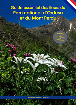 Guide essentiel des fleurs du Parc national d’Ordesa et du Mont Perdu