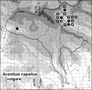 Aconitum_napellus_vulgare