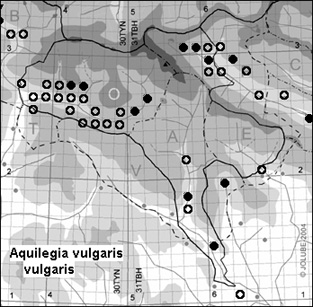 Aquilegia_vulgaris_vulgaris