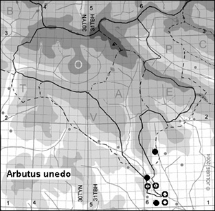 Arbutus_unedo_