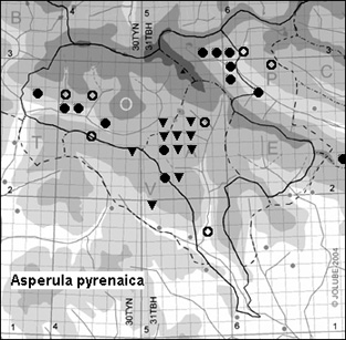Asperula_pyrenaica_