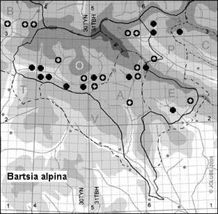 Bartsia_alpina_