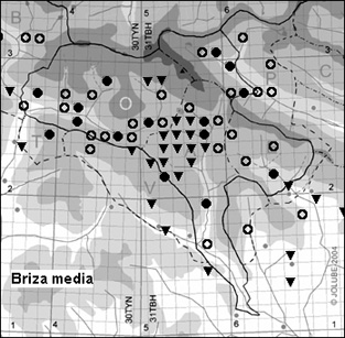 Briza_media_