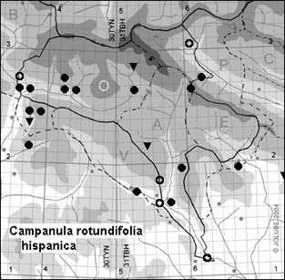 Campanula_rotundifolia_hispanica