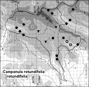 Campanula_rotundifolia_rotundifolia