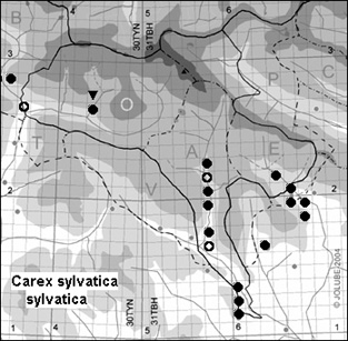 Carex_sylvatica_sylvatica