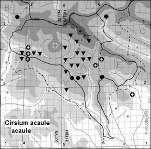 Cirsium_acaule_acaule