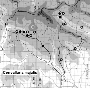Convallaria_majalis_