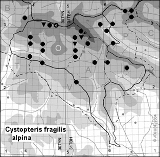 Cystopteris_fragilis_alpina