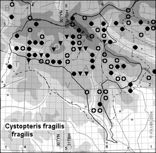 Cystopteris_fragilis_fragilis