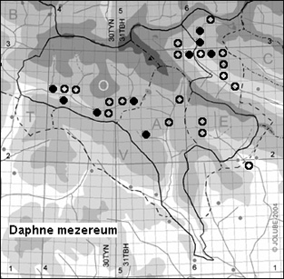 Daphne_mezereum_