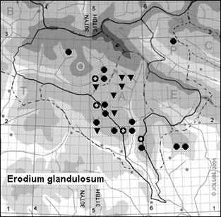 Erodium_glandulosum_