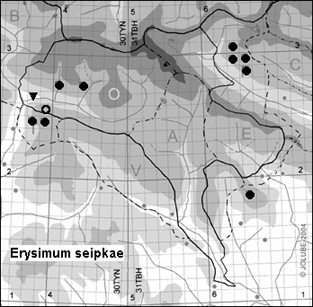 Erysimum_seipkae_