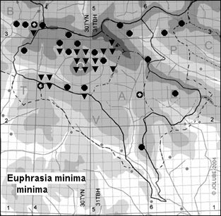 Euphrasia_minima_minima