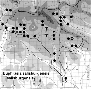 Euphrasia_salisburgensis_salisburgensis