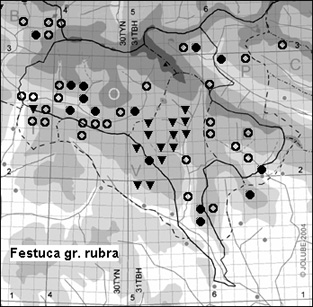 Festuca_gr. rubra_