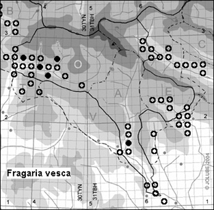 Fragaria_vesca_