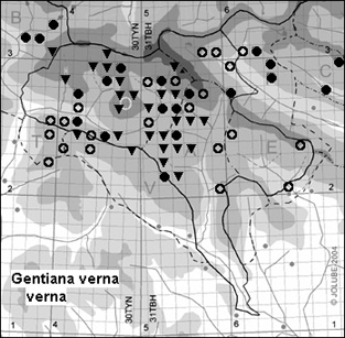 Gentiana_verna_verna