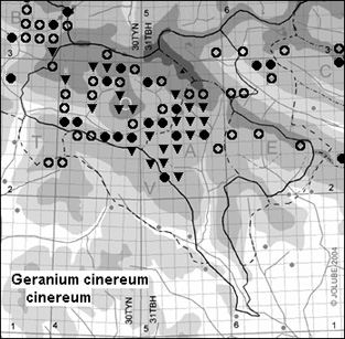 Geranium_cinereum_cinereum