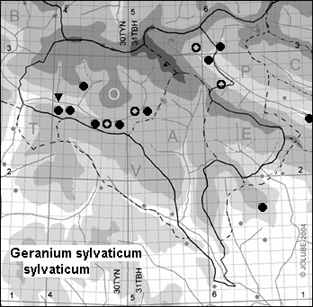 Geranium_sylvaticum_sylvaticum