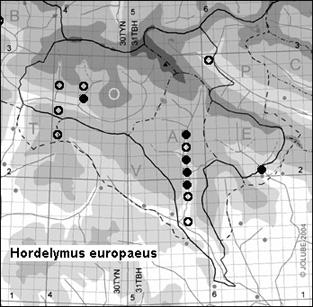 Hordelymus_europaeus_