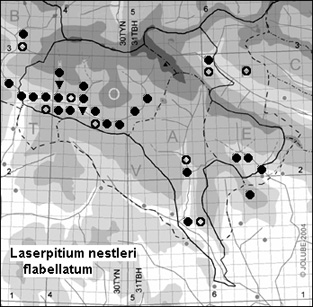 Laserpitium_nestleri_flabellatum