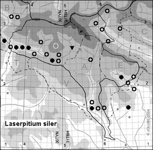 Laserpitium_siler_