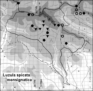 Luzula_spicata_monsignatica