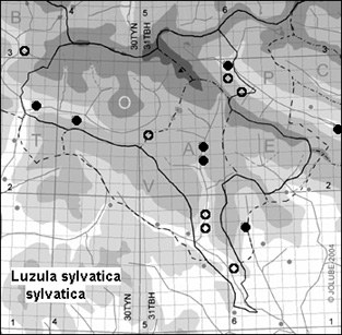 Luzula_sylvatica_sylvatica