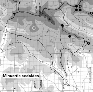 Minuartia_sedoides_