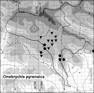 Onobrychis_pyrenaica_