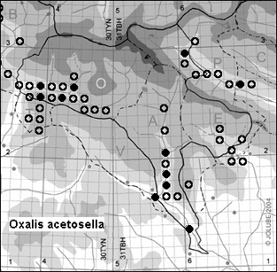 Oxalis_acetosella_
