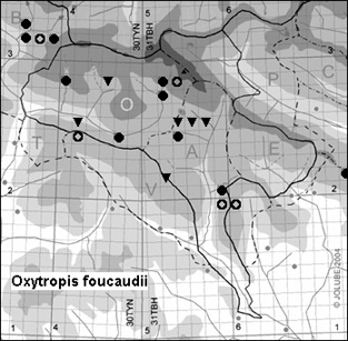 Oxytropis_foucaudii_