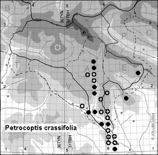 Petrocoptis_crassifolia_