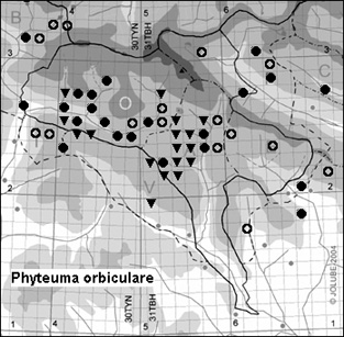 Phyteuma_orbiculare_