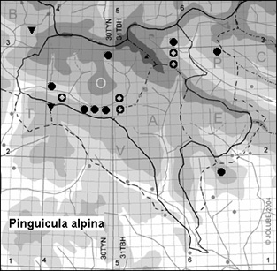 Pinguicula_alpina_