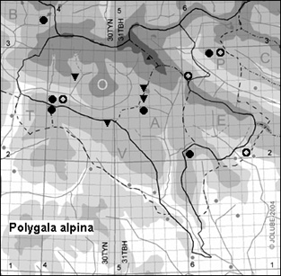 Polygala_alpina_