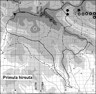 Primula_hirsuta_