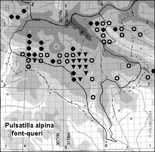 Pulsatilla_alpina_font-queri