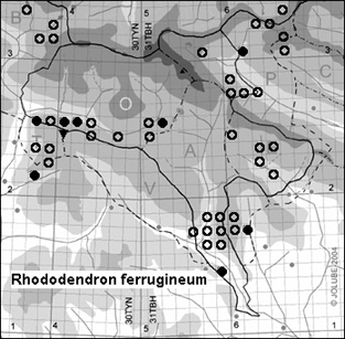 Rhododendron_ferrugineum_