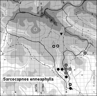 Sarcocapnos_enneaphylla_