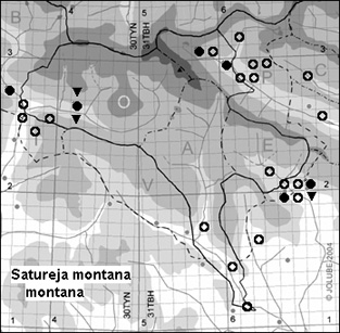 Satureja_montana_montana