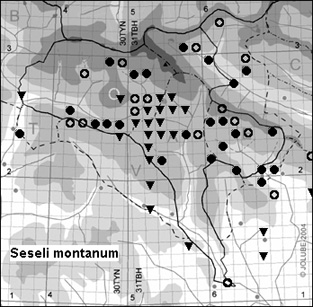 Seseli_montanum_