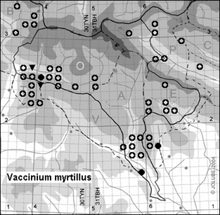 Vaccinium_myrtillus_