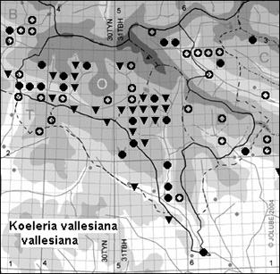 oeleria_vallesiana_vallesiana