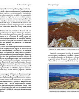 El bosque integral