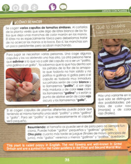 Diviértete con las plantas (El cuaderno del profesorado)