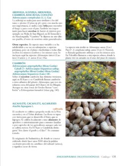 Etnobotánica abulense. Las plantas en la cultura tradicional de Ávila